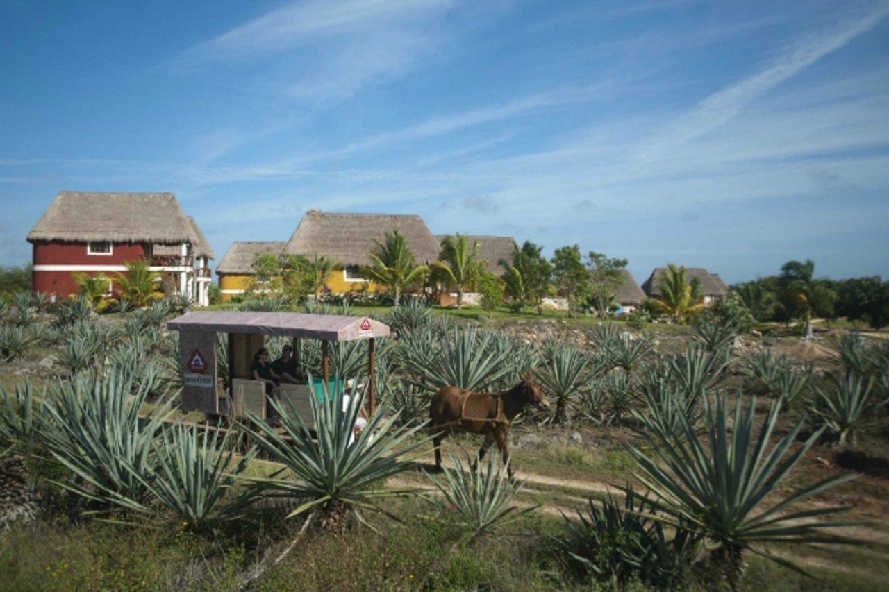 Hacienda Viva Sotuta De Peon Hotel Tecoh Exterior photo